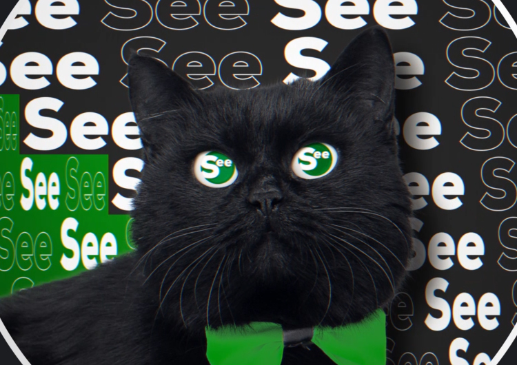 See Denmark project cover