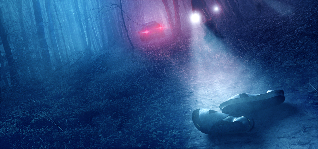 To Solve a Murder – Helena Fallet motion design and campaign visuals project hero image
